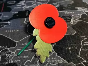 Poppy Appeal Paper replacement