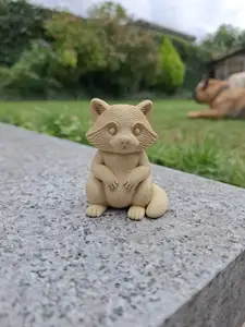 Chill Raccoon