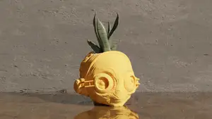 Maz Kanata - Star Wars Pot Plant