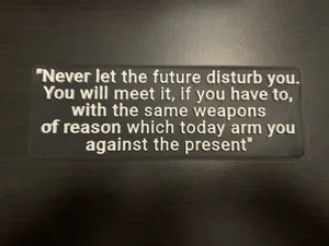 Marcus Aurelius quote in 2 colours