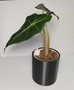 Doniczka hydroponiczna (hydroponic pot) P60
