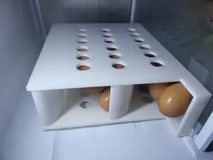 Egg Dispenser - Vertical Storage Tray
