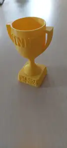 Pokal