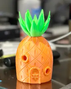 Spongebob's House