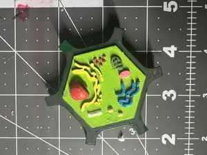 Plant Cell