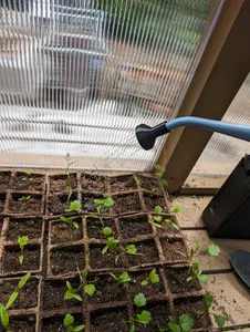 Mini Sprinkler Head for Little Cans