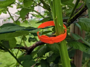 Plant Marking Ring