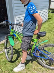Bike mud guard