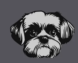 Shi Tzu 2