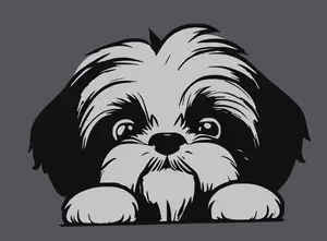 2D Bild eines Shi Tzu Hundes für die Fenster