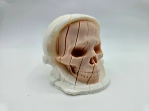 Twist Astronaut Skull Fidgets Full Collection