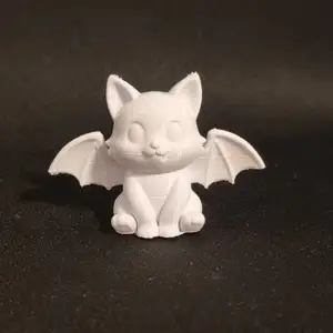 Cute bat cat