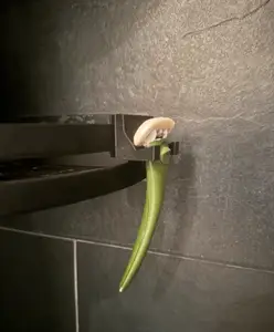 Razor Holder for Round Shower Shelf