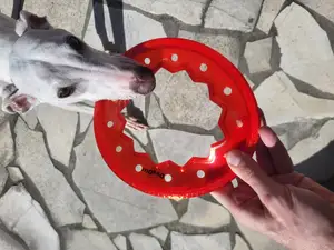Dog Disc V2 - Frisbee - TPU TOY