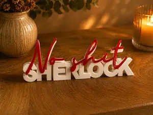 No Shit Sherlock | Funny Sarcastic 3D Text Sign | Multicolor Desk Decor