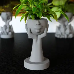 Hands holding flower pots head