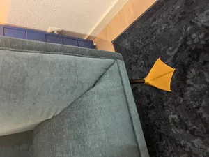 Decorative Duck Feet for Sofa.