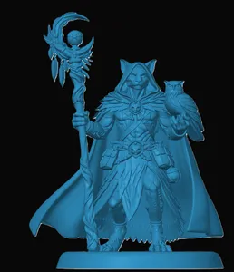 Tabaxi Druid