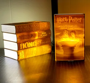 Lithophane Books (Harry Potter Book 6)