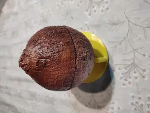 Coco / Coconut shells / Cascaras de COCO