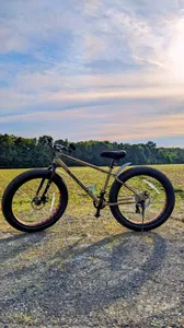 Fat Bike mud guard