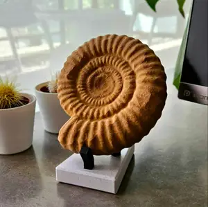 Ammonite sculpture