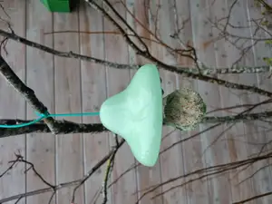 Bird fat ball feeder