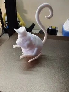 Raton Coralaine
