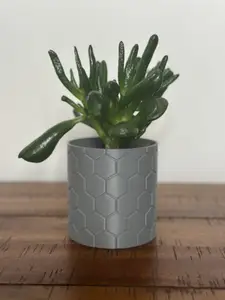 Honeycomb Harmony 3D Printed Indoor Plant Pot - 5 Inch