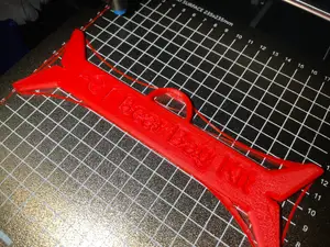 PCT Bear Bag Hanger