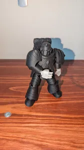 Dummy 13 Zenith Warriors