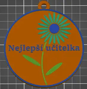 Medal for the best teacher