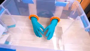 Sanding Box Glove Adapters for Small & Large Gloves