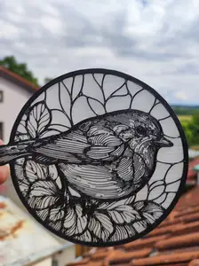Robin (black and white)