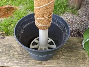 Moss Pole pot support