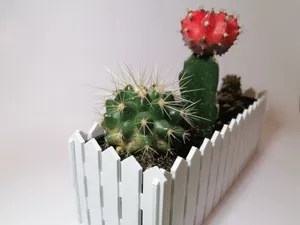Mini flower bed