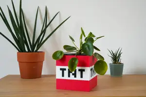 TNT Block Vase – Minecraft Edition