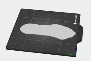 footprint (insole)