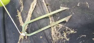 Garden stake for landscape fabric or tomatoes