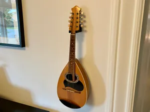 Mandolin holder