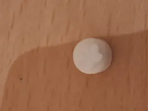 Apple Pencil Cap with Paw
