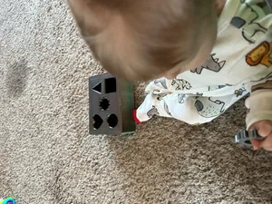 Shape Sorter Toy