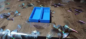 Carp hook system case