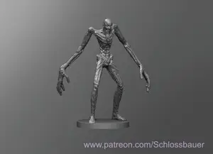 Scp 096