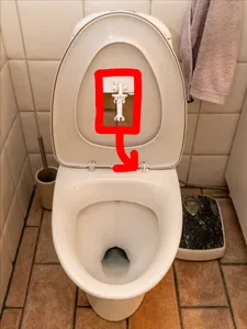 IFÖ Toilet Hinge Plug