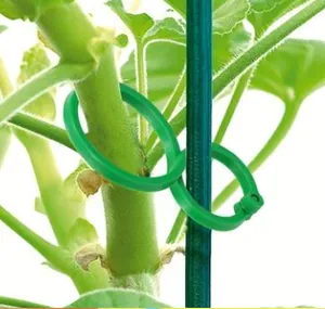 Plant Clips For Climbing Plants