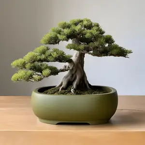 Oval Bonsai Pot, Bonsai Planter