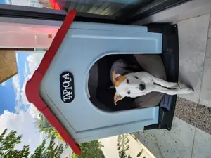 Dog House Sign