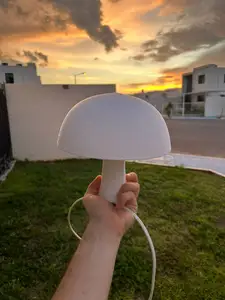 Fungus Lamp "FungoGlow"