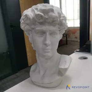David(scanned by Revopoint POP 3D scanner)
